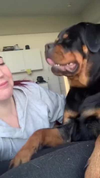 Cute！