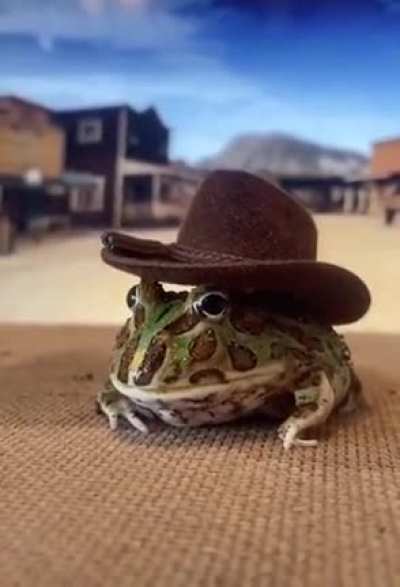 "Reptilian" redesign LEAKED