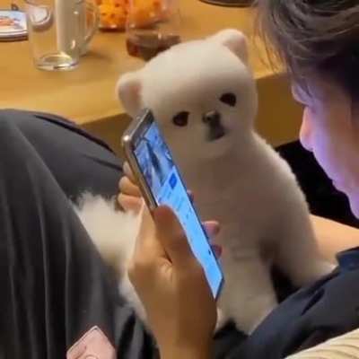 Why are you not looking at me?