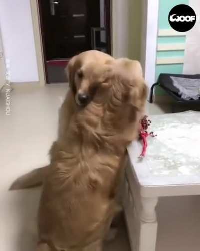 Cheer up!