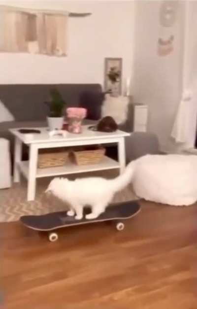 The Next Tony Hawk.