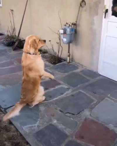 Come out and play