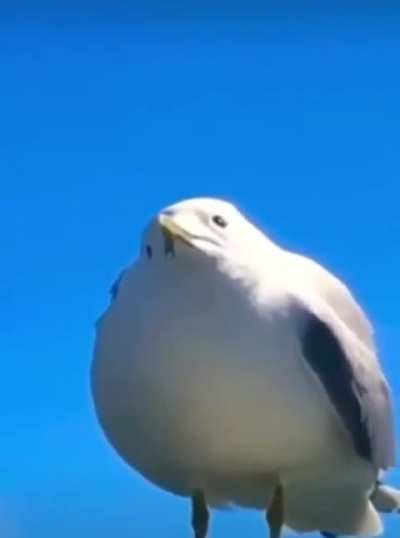 Me when I notice the spider that&rsquo;s been above my head for hours