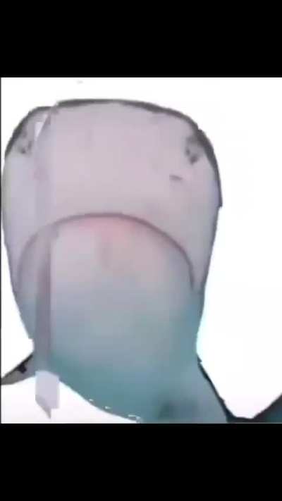 shark