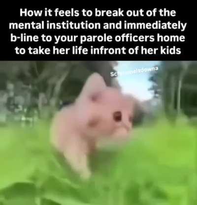 so relatable