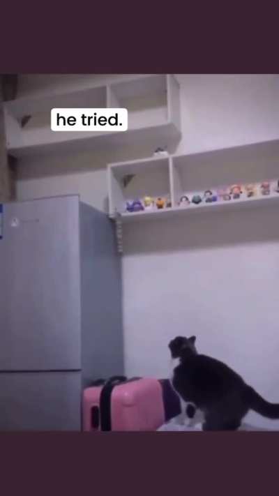 He tried 