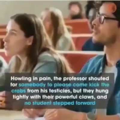 Get owned, liberal!! 😎