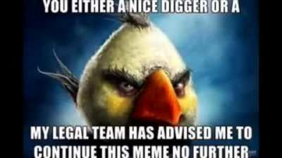 anger bird