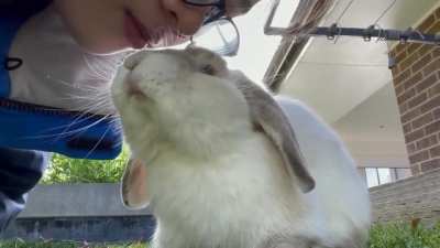Just kidding! Never too old for kisses 🐰
