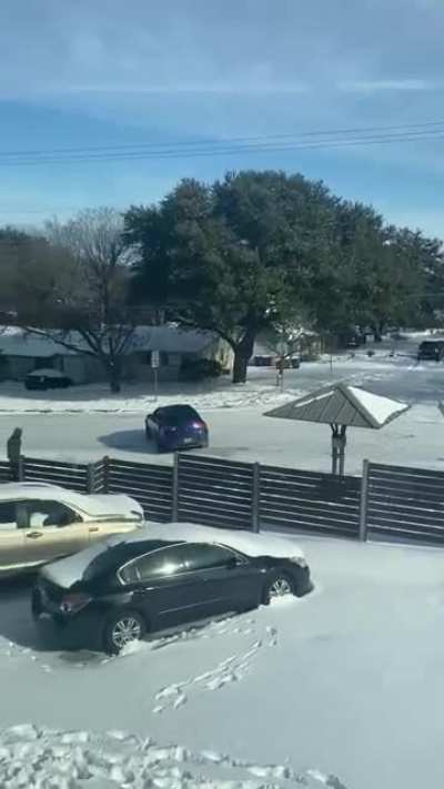 Curling - Texas Edition