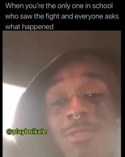 Did you see the fight ? What happened ?