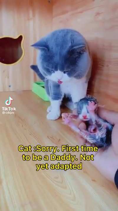 A proud new parent!