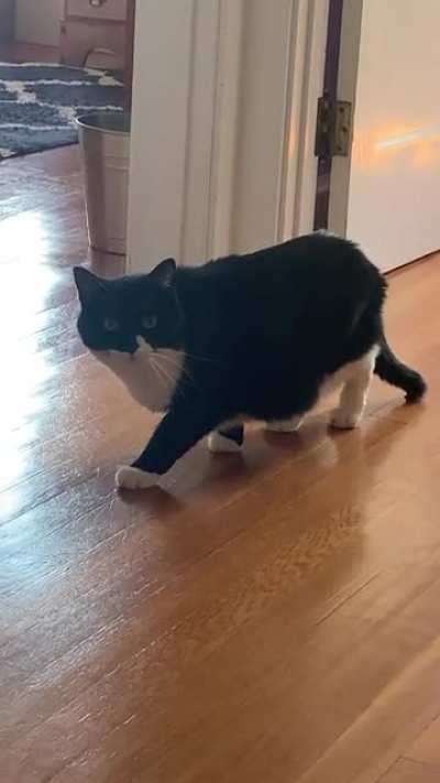 &ldquo;If I don&rsquo;t move maybe she won&rsquo;t see me&rdquo;