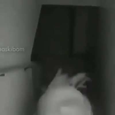 xD