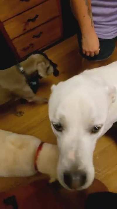 He tried to be gentle.