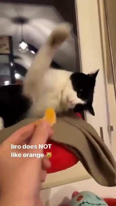 orangephobia