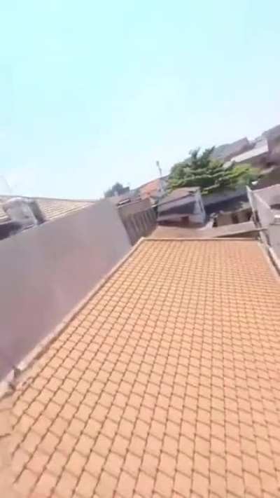 You don't need dji drone when you have bird