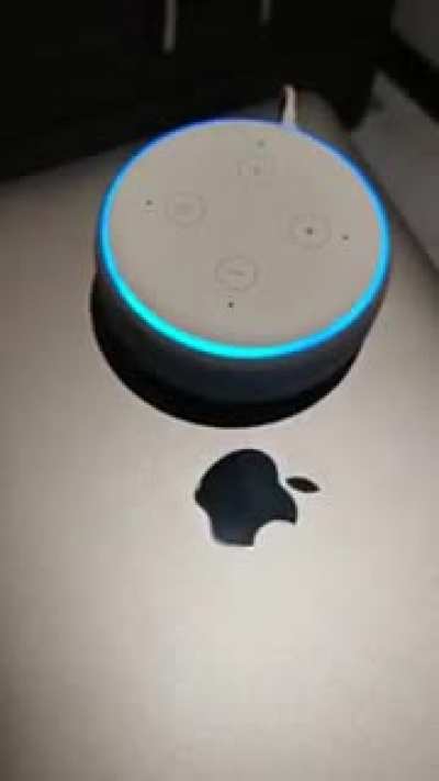 Supera alexa 😎
