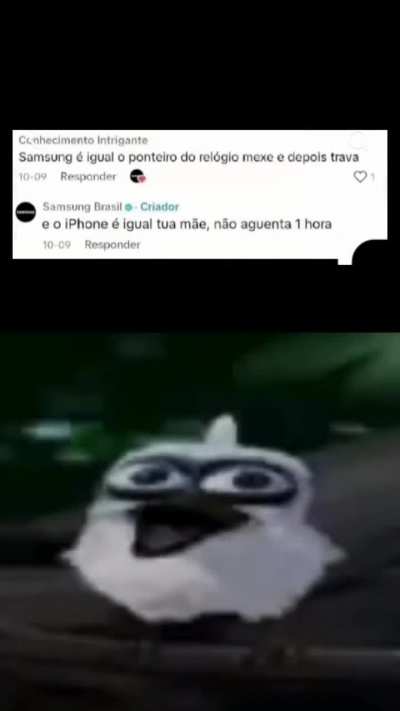 KKKKKK apelo 