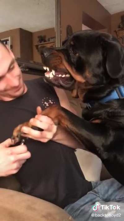 It don&rsquo;t bite