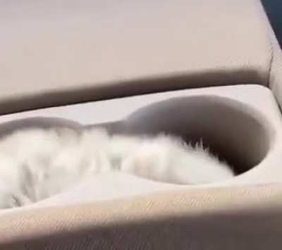 Ah so that is what Cup Holders are for.