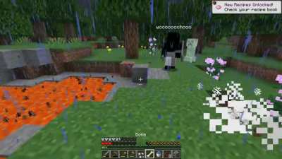 Minecraft Surprise