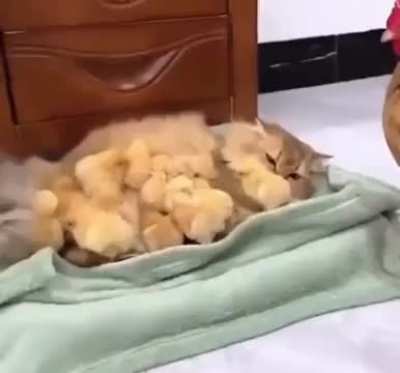 Ni&ntilde;os, hoy os qued&aacute;is con la t&iacute;a, que tengo que salir...
