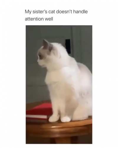 What&rsquo;s that noise!
