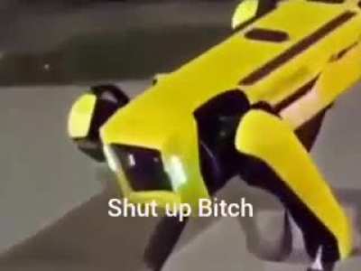 XD