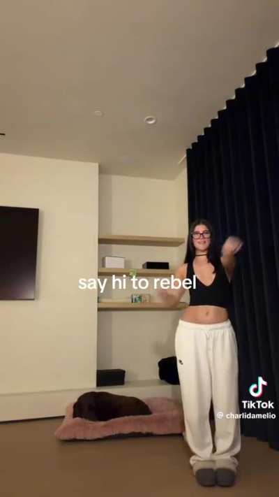 TikTok Post April 2026