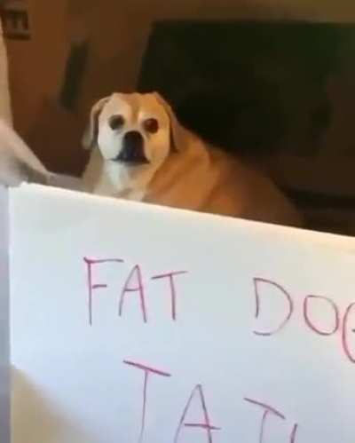 Someone help this poor mans