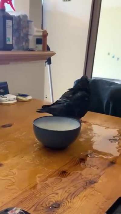 Now I&rsquo;m all wet...