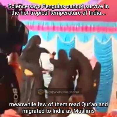 Offense ho jao agar toh yeh sub aapke liye nhi hai ( ͡&deg; ͜ʖ ͡&deg;)