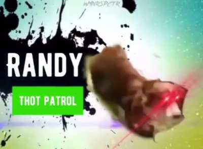 Randy Savage