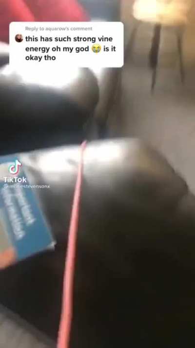 Part 2 - he&rsquo;s ok!
