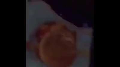 Best Chicken.