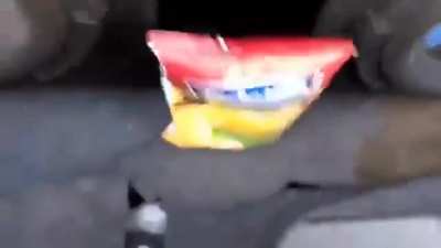 Chip