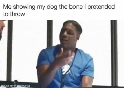 Confused Doggo