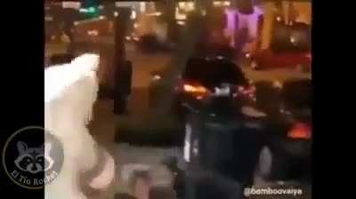 Pr&oacute;ximamente el conejo asesino