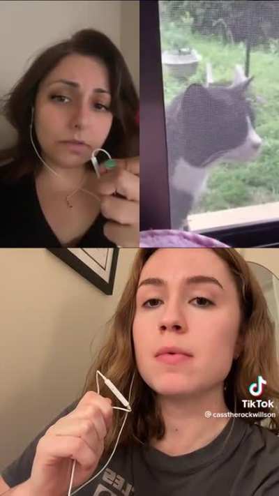 Meow