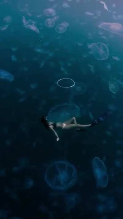 What lurks beneath