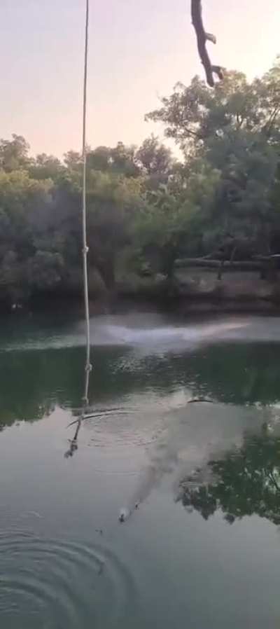 When your foot gets caught in the rope&hellip;