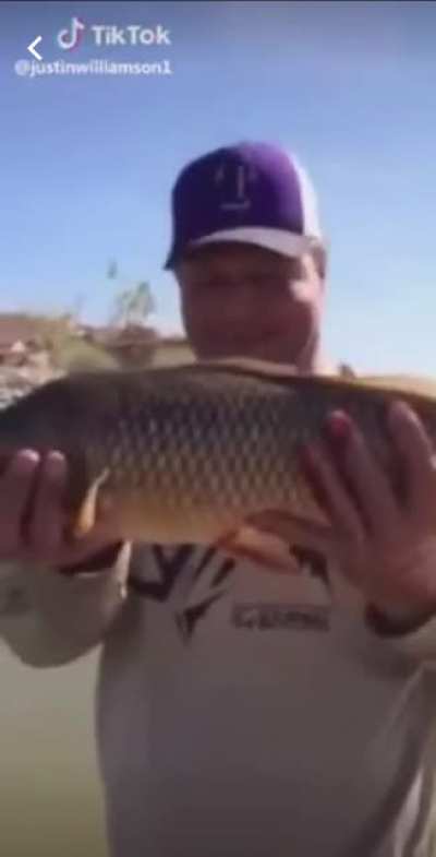 It&rsquo;s carp