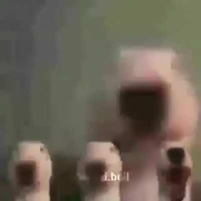 Perfección