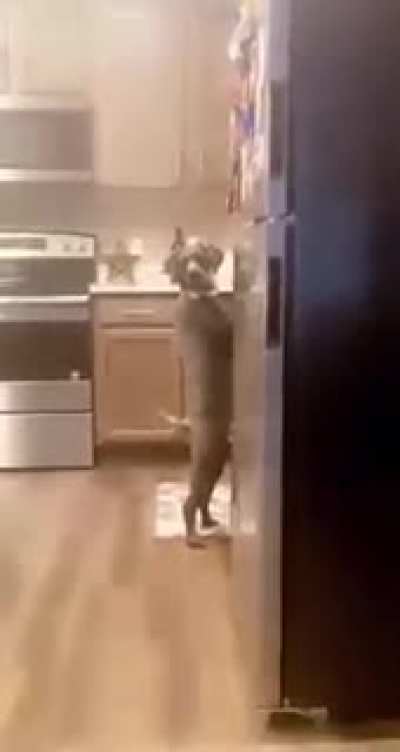 "Just act normal"