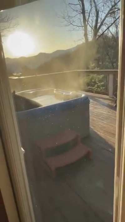 This bear is taking a bath in someone&rsquo;s backyard jacuzzi