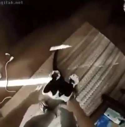 An