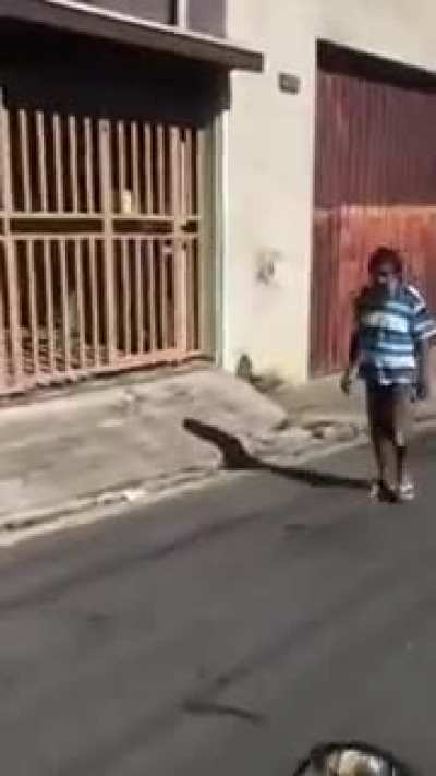 Adoro os Pedros