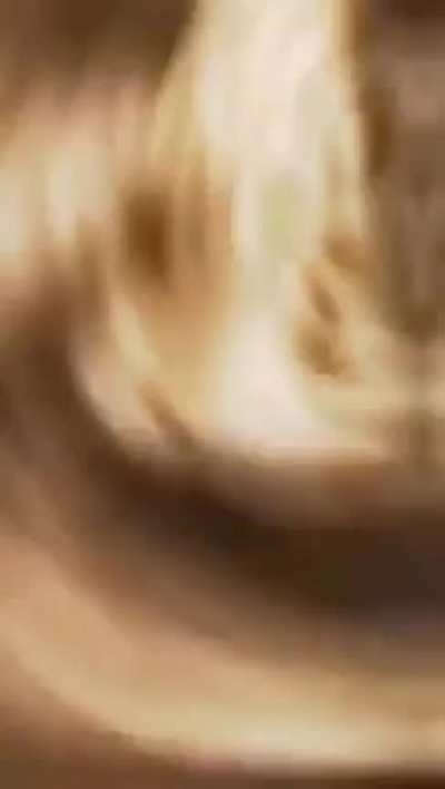 Chadwise treeman
