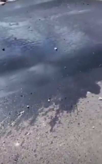 Seems like I have an oil leak from somewhere...